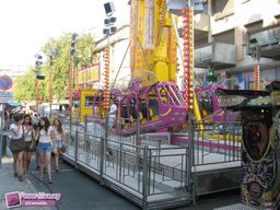Montauban-2011-33