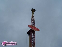 Montilly-sur-Noireau-2011-22