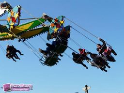 Munster-automne-All-2011-11