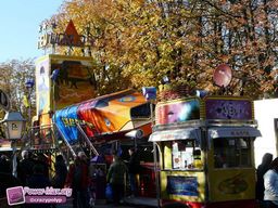 Munster-automne-All-2011-13