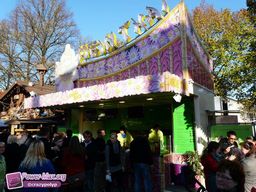 Munster-automne-All-2011-15