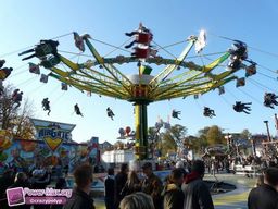 Munster-automne-All-2011-17
