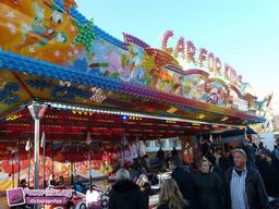 Munster-automne-All-2011-18
