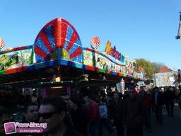 Munster-automne-All-2011-19