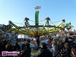 Munster-automne-All-2011-20