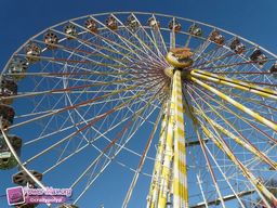 Munster-automne-All-2011-3