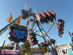Munster-automne-All-2011-5