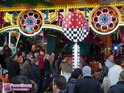 Munster-automne-All-2011-7