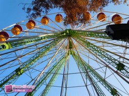 Nancy-2011-6