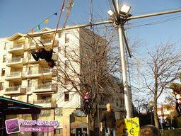 Narbonne-2011-57