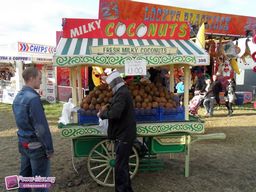Newcastle-Grande-Bretagne-2011-23