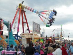 Newcastle-Grande-Bretagne-2011-24