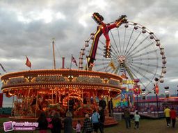 Newcastle-Grande-Bretagne-2011-72