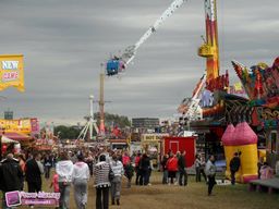 Newcastle-Grande-Bretagne-2011-8