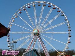Osnabruck-All-2011-25
