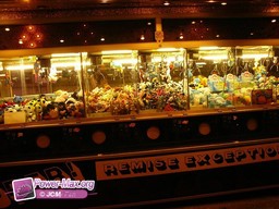 Pamiers-2011-136