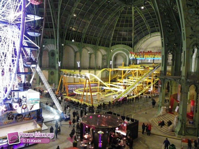 Paris-grand-palais-2012-2011-21