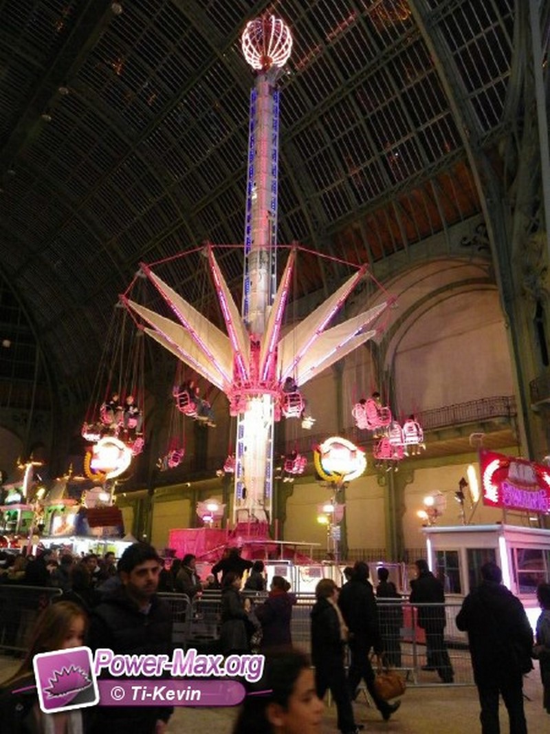 Paris-grand-palais-2012-2011-22