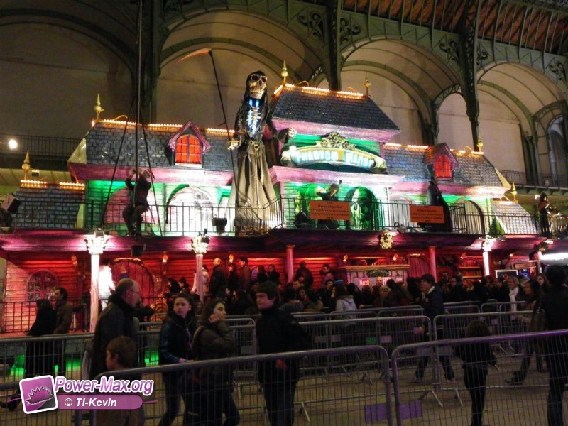 Paris-grand-palais-2012-2011-24