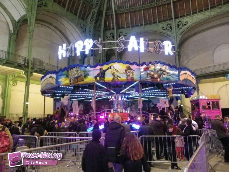 Paris-grand-palais-2012-2011-25