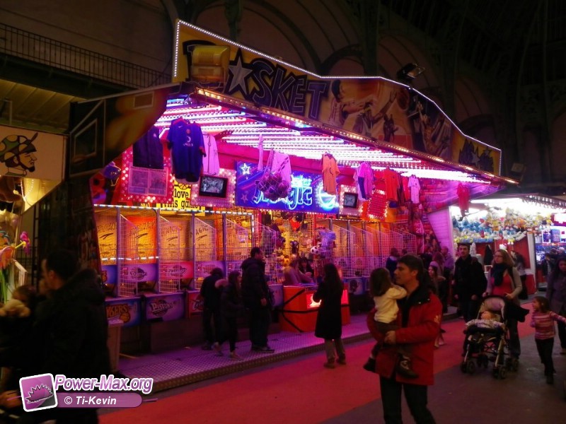 Paris-grand-palais-2012-2011-26