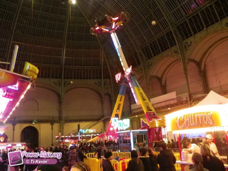 Paris-grand-palais-2012-2011-27