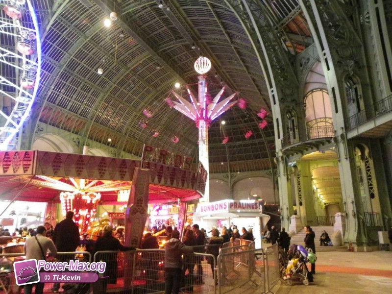 Paris-grand-palais-2012-2011-28