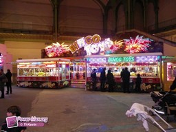 Paris-grand-palais-2012-2011
