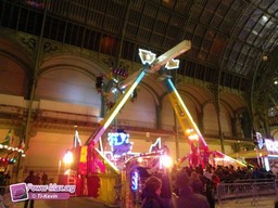 Paris-grand-palais-2012-2011-10