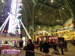 Paris-grand-palais-2012-2011-11