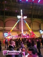 Paris-grand-palais-2012-2011-15
