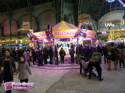 Paris-grand-palais-2012-2011-16