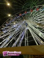 Paris-grand-palais-2012-2011-18