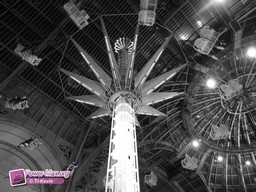 Paris-grand-palais-2012-2011-20