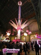 Paris-grand-palais-2012-2011-22