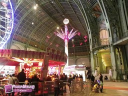 Paris-grand-palais-2012-2011-28