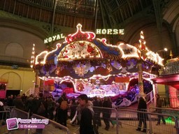 Paris-grand-palais-2012-2011-3