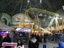 Paris-grand-palais-2012-2011-30