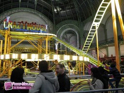 Paris-grand-palais-2012-2011-32