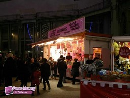 Paris-grand-palais-2012-2011-33