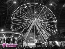 Paris-grand-palais-2012-2011-35