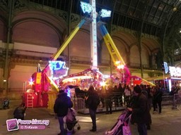 Paris-grand-palais-2012-2011-36