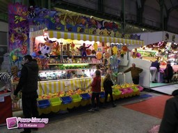 Paris-grand-palais-2012-2011-4