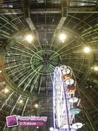 Paris-grand-palais-2012-2011-6