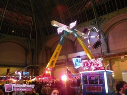 Paris-grand-palais-2012-2011-7