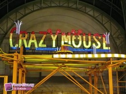 Paris-grand-palais-2012-2011-9
