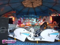 Reims-Fete-des-Rois-2012-2011-32
