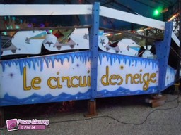 Reims-Fete-des-Rois-2012-2011-33