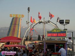 Romans-2011-20