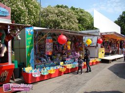 Saint-Pierre-sur-Dives-2011-7